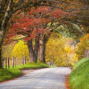 Meet your Posher, Leslie